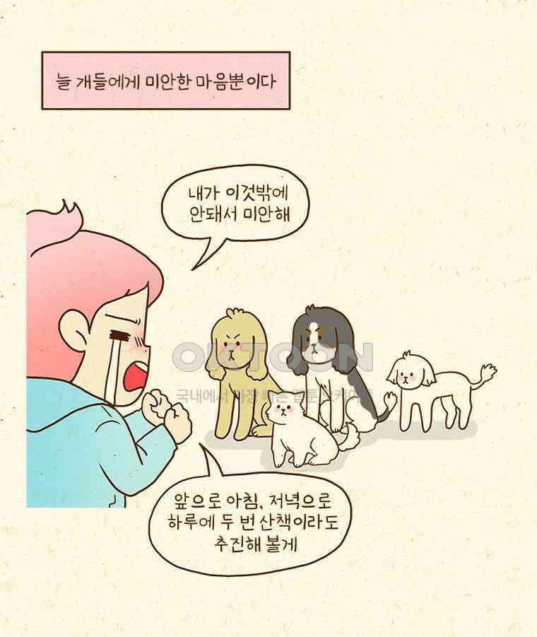 반지하셋방 405화 개들도 함께 다이어트 33