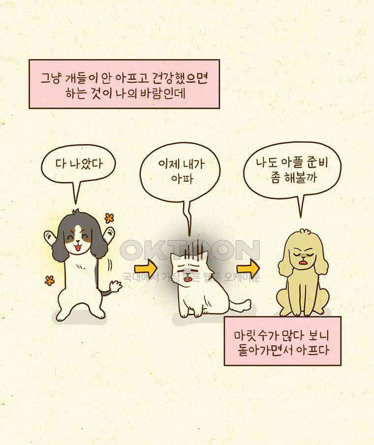 반지하셋방 405화 개들도 함께 다이어트 35