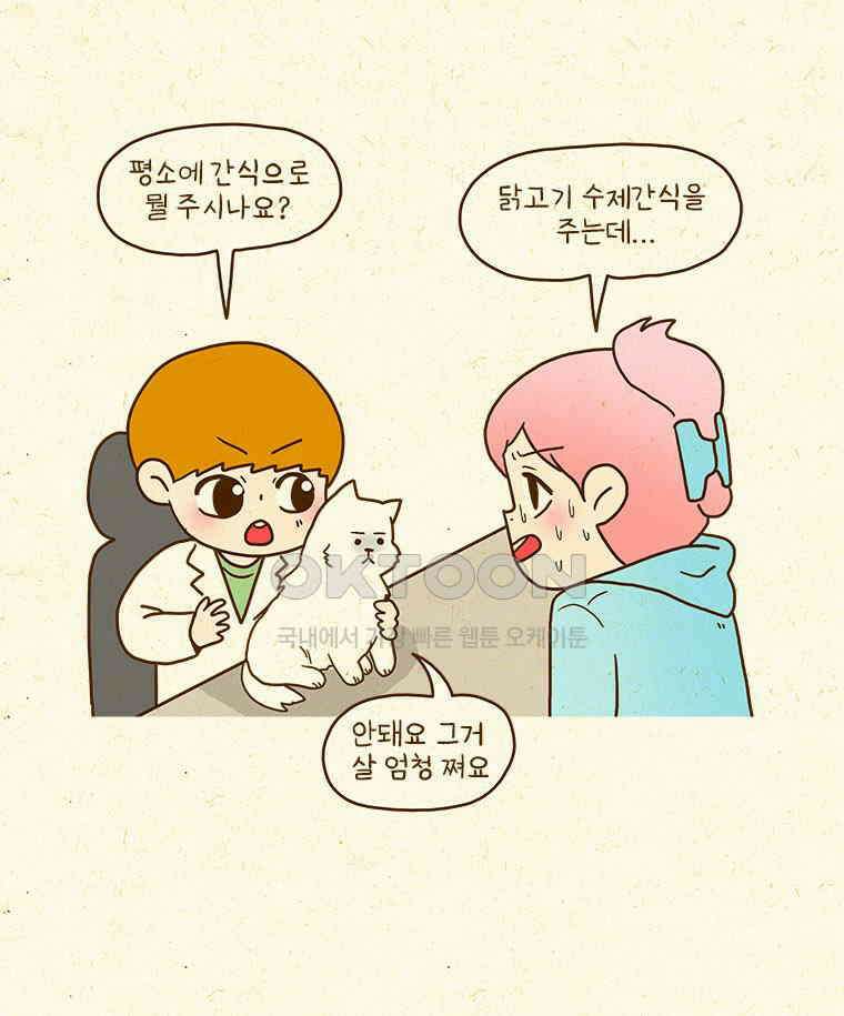 반지하셋방 405화 개들도 함께 다이어트 41