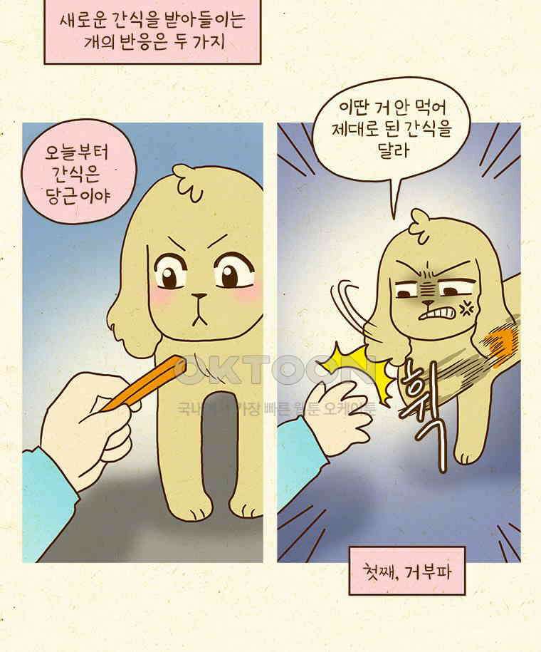 반지하셋방 405화 개들도 함께 다이어트 45