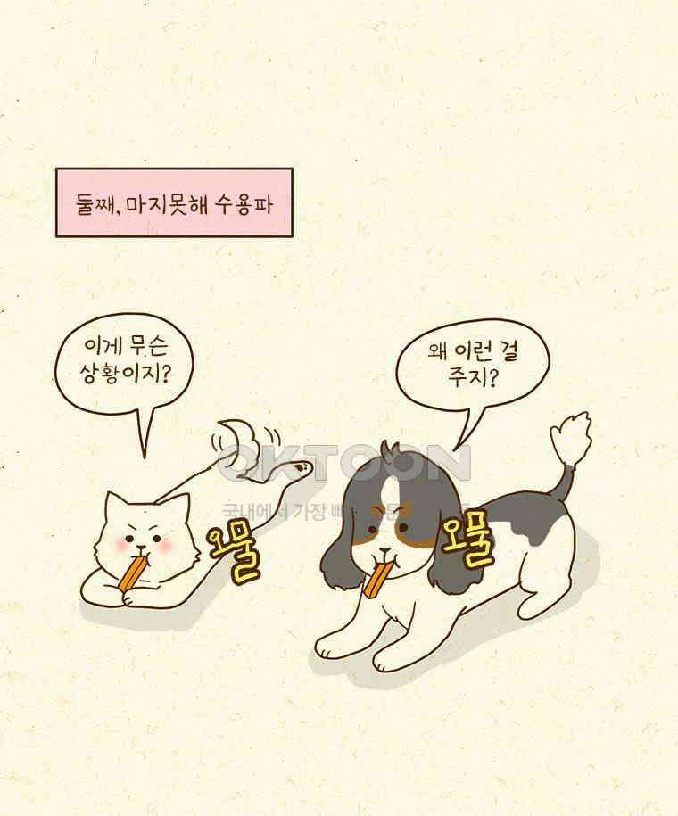 반지하셋방 405화 개들도 함께 다이어트 46