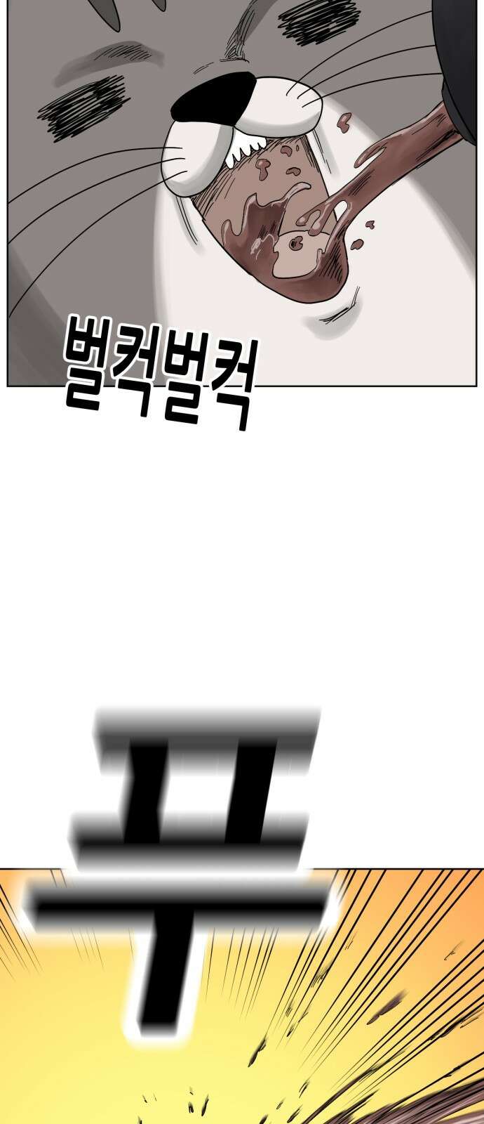 괴양이 66화 TEMO (테모) 11