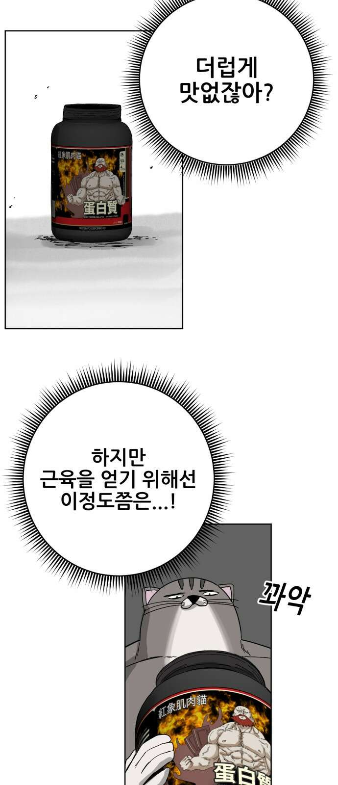 괴양이 66화 TEMO (테모) 13