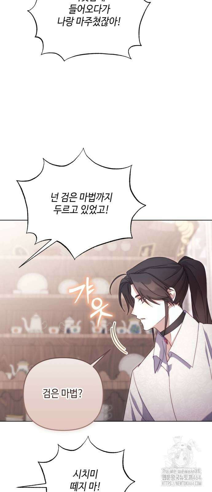 레벨 999 흑막 공녀가 되었다 41화 아덴(2) 13