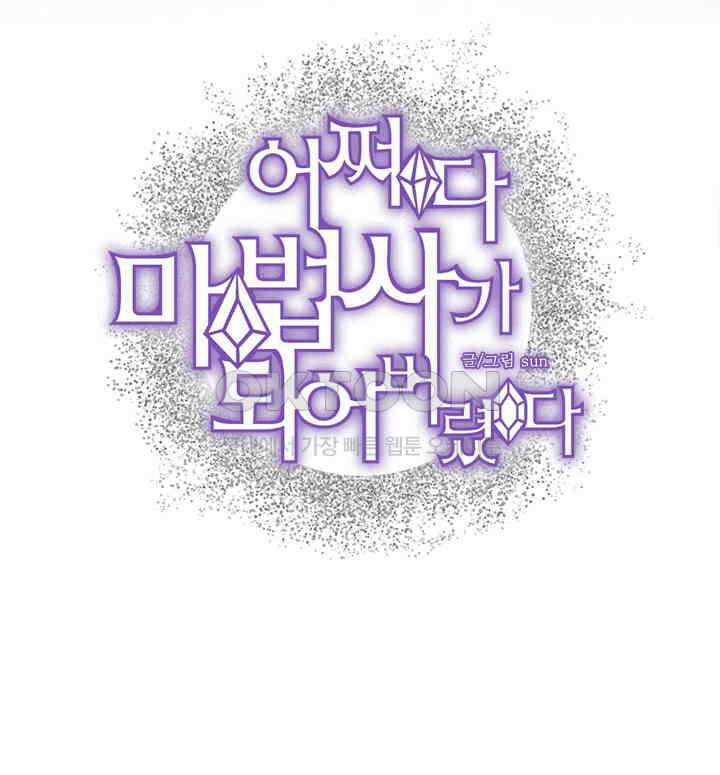 어쩌다 마법사가 되어버렸다 29 2