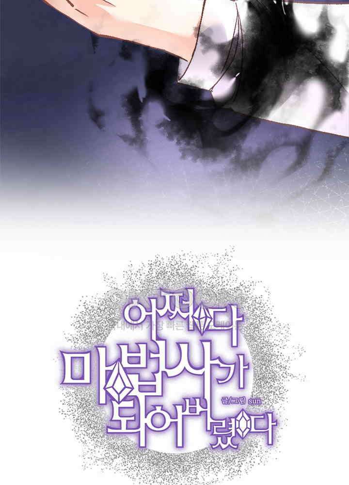 어쩌다 마법사가 되어버렸다 47 3