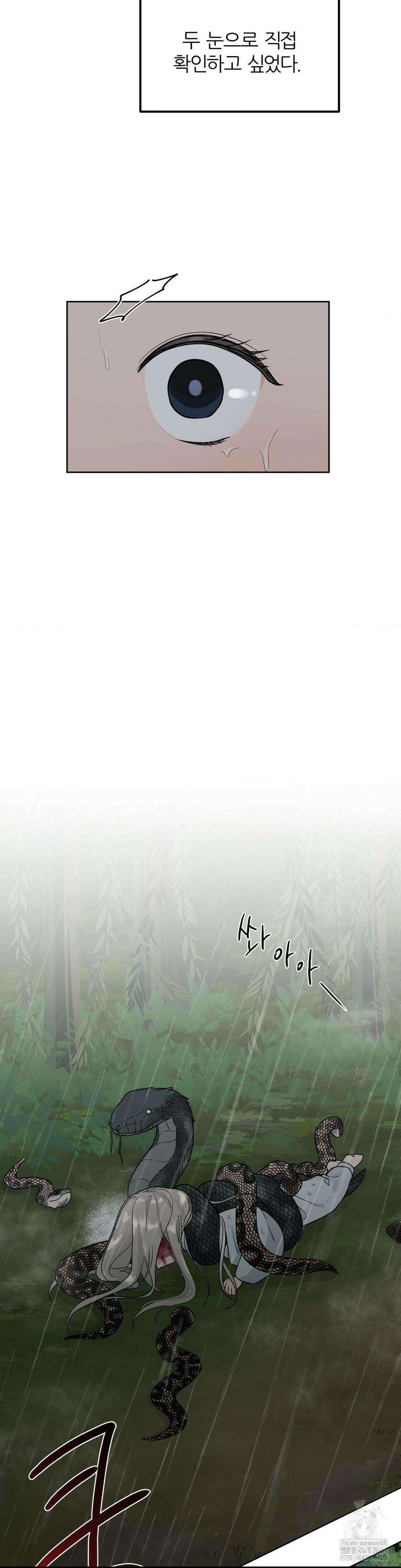 비비새 1화 35