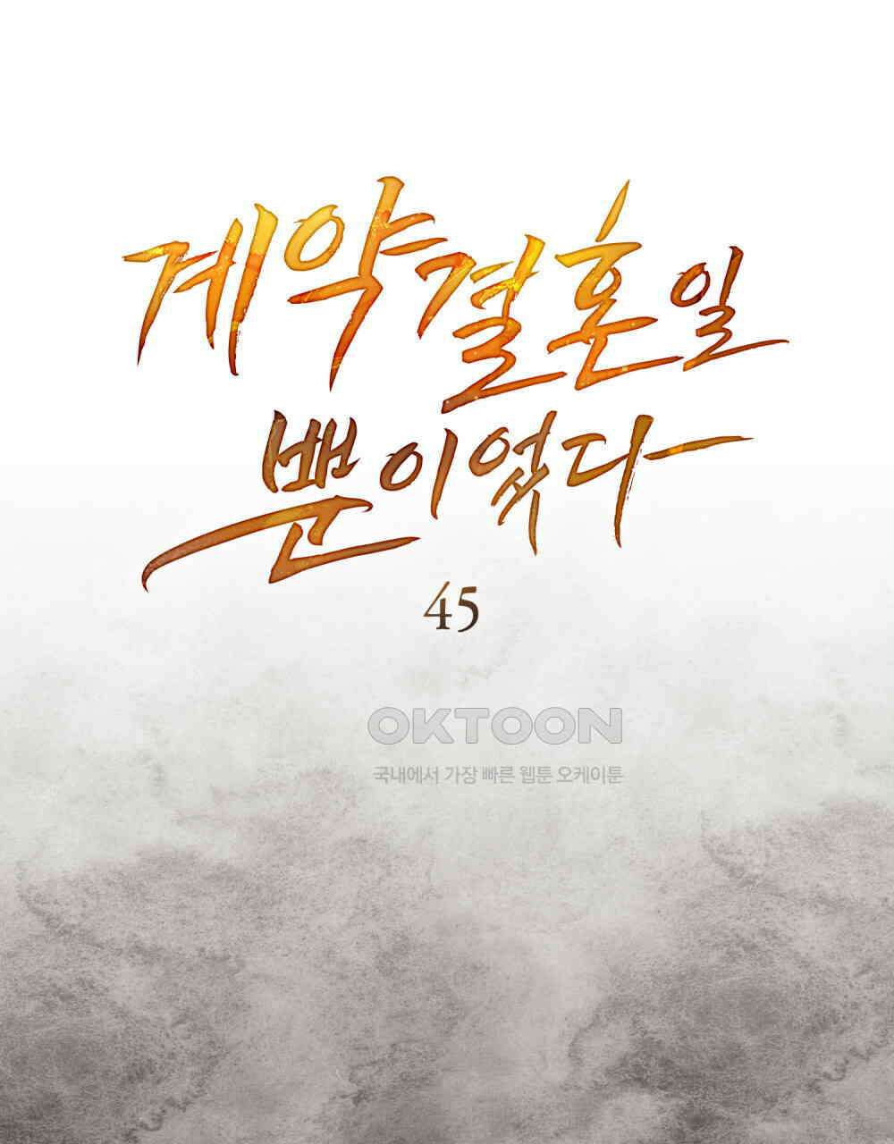 계약 결혼일 뿐이었다 45화 23