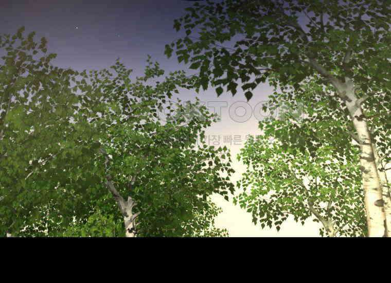 백룡의 신부 17화 17