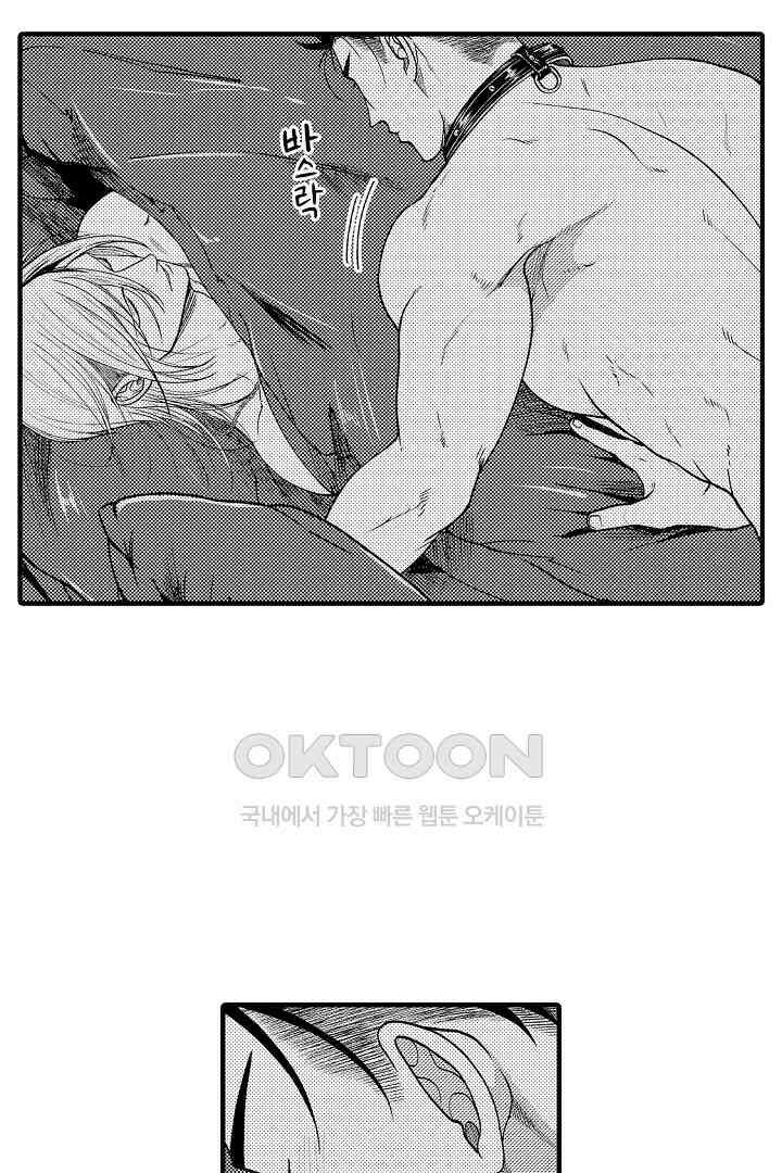 양키 군은 개가 되고 싶어 31화 5