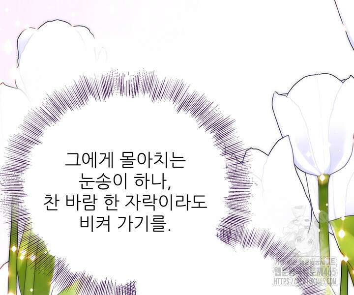 로열 메리지 94화 96