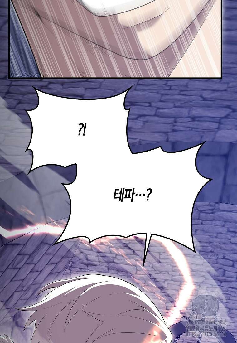 엑스트라가 너무 강함 67화 121