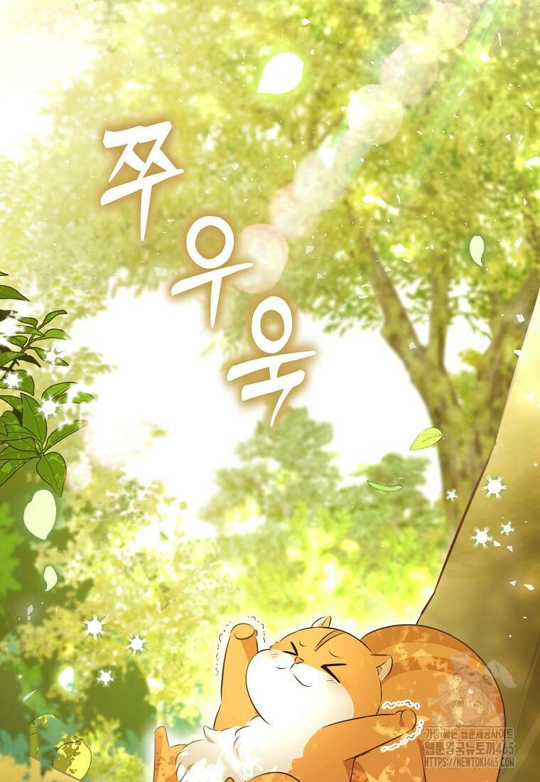 아기 다람쥐가 다 잘해요 90화 62