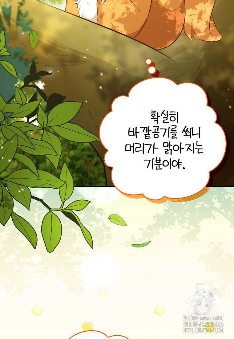 아기 다람쥐가 다 잘해요 90화 63