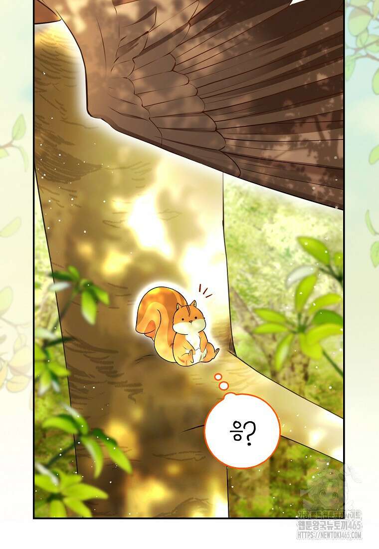 아기 다람쥐가 다 잘해요 90화 66