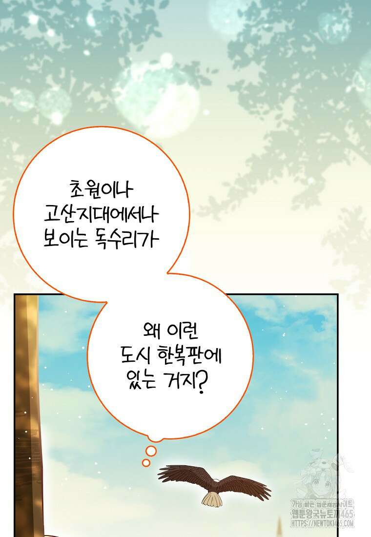 아기 다람쥐가 다 잘해요 90화 69