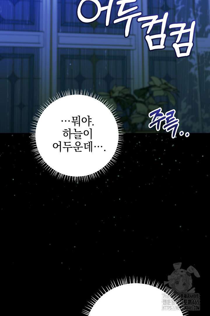 폭군에게 찍힌 민폐 황후입니다 25화 10