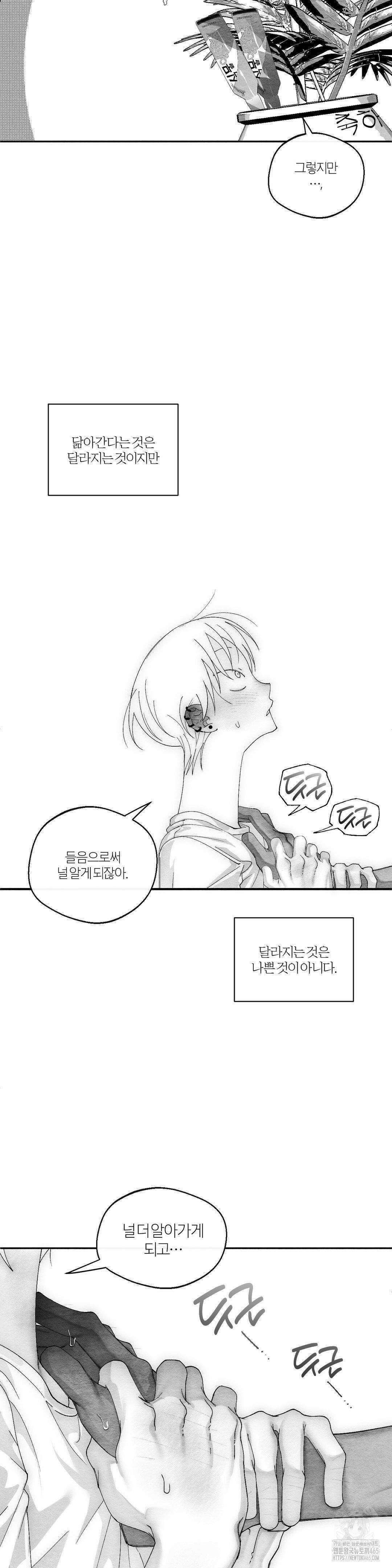가장 완벽한 도형 26화 27