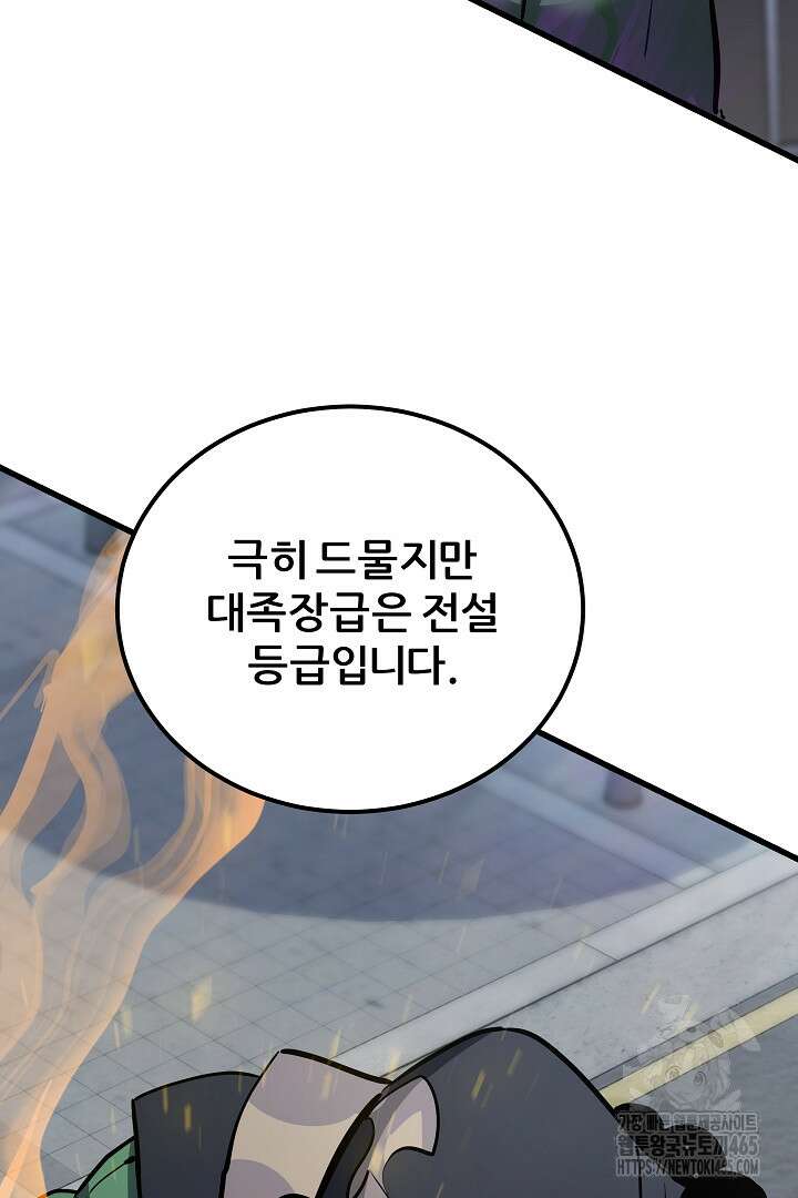 1레벨 플레이어 87화 29