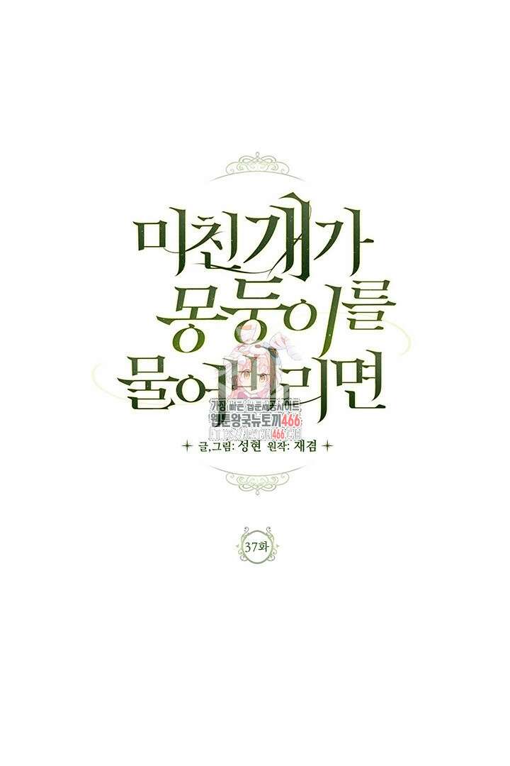 미친개가 몽둥이를 물어버리면 37화 1