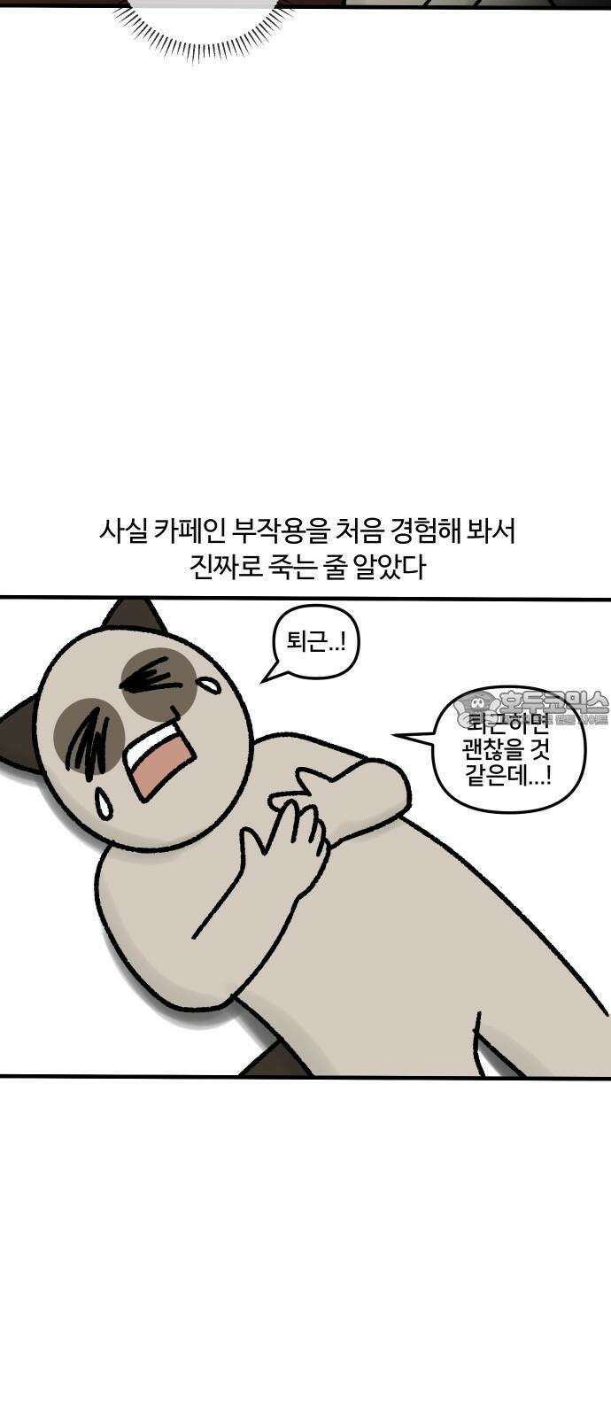 구야는 신입 37화 커피 18