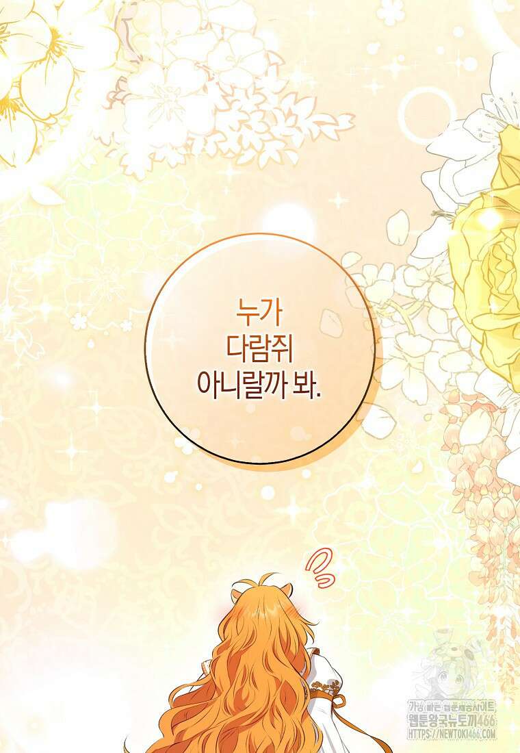 아기 다람쥐가 다 잘해요 92화 25