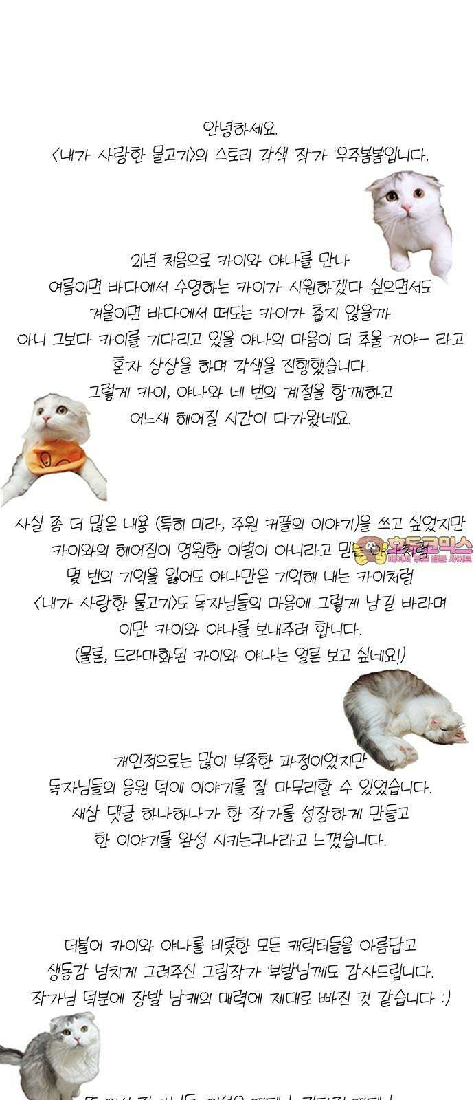 내가 사랑한 물고기 후기 1