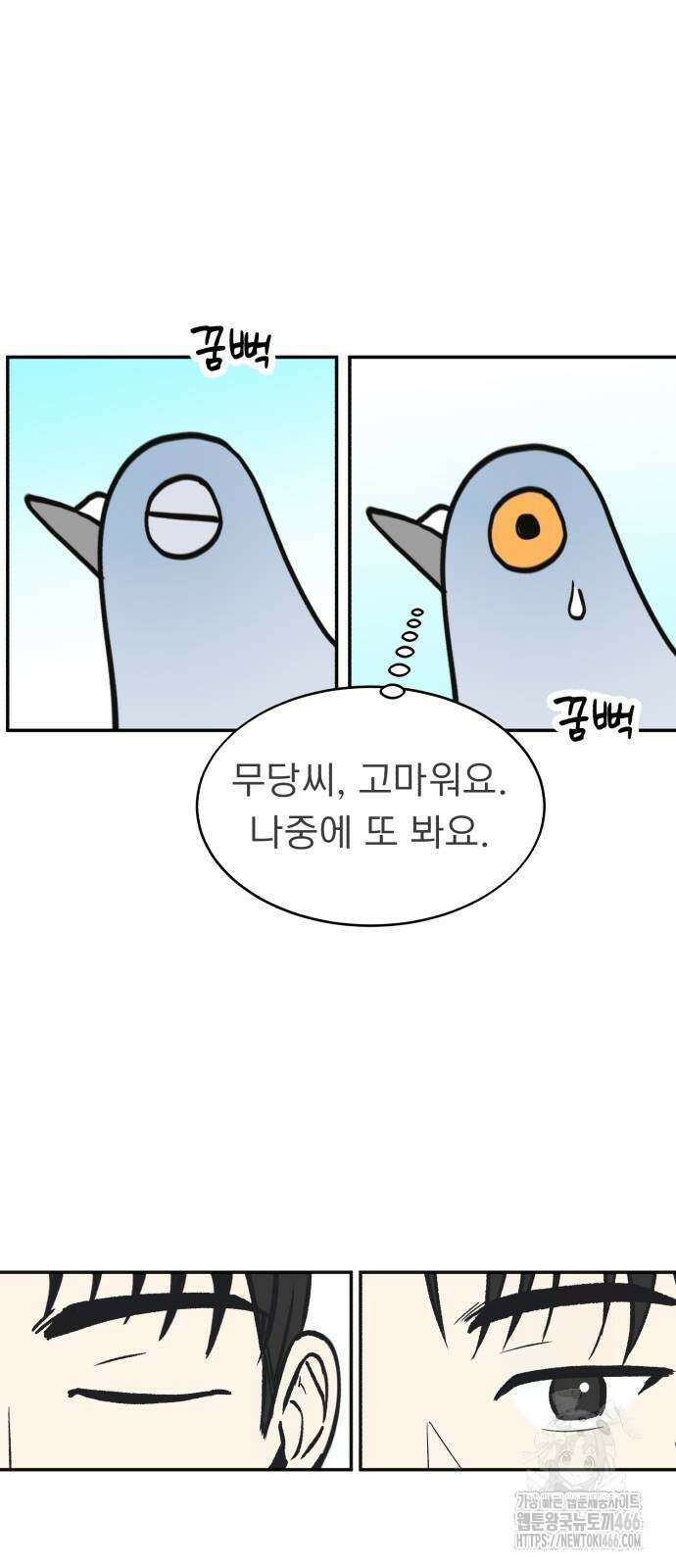 성북구 비둘기 이헌서 29화 4