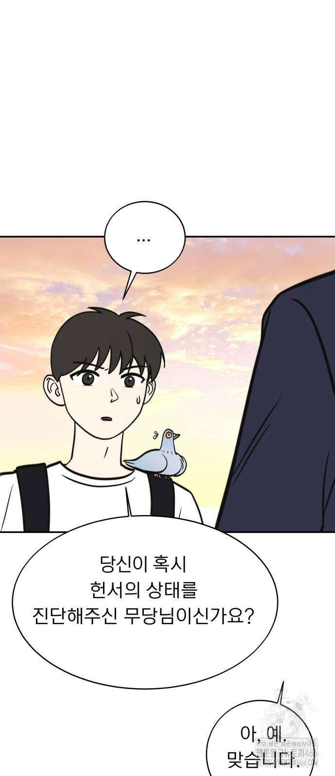 성북구 비둘기 이헌서 29화 6