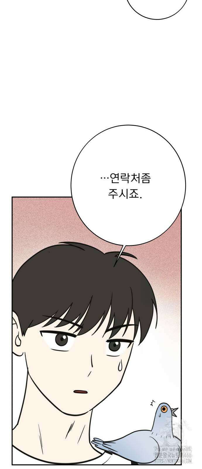 성북구 비둘기 이헌서 29화 7