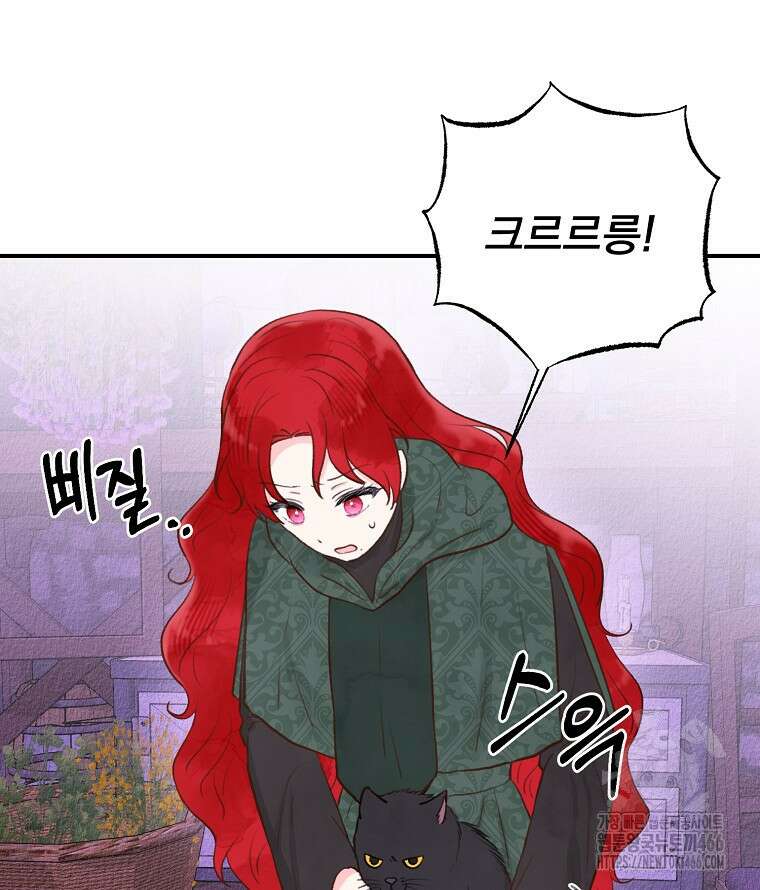 알리사와 마법일기 30화 59