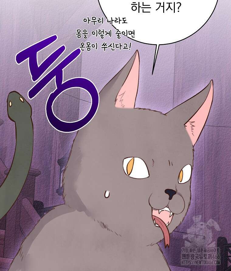 알리사와 마법일기 30화 81