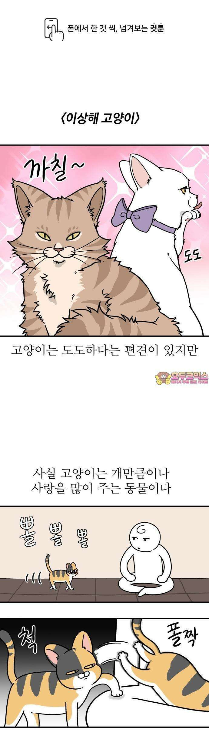 노곤하개 쇼츠 이상해 고양이 1
