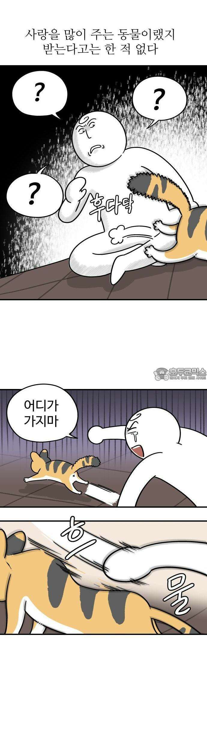 노곤하개 쇼츠 이상해 고양이 3