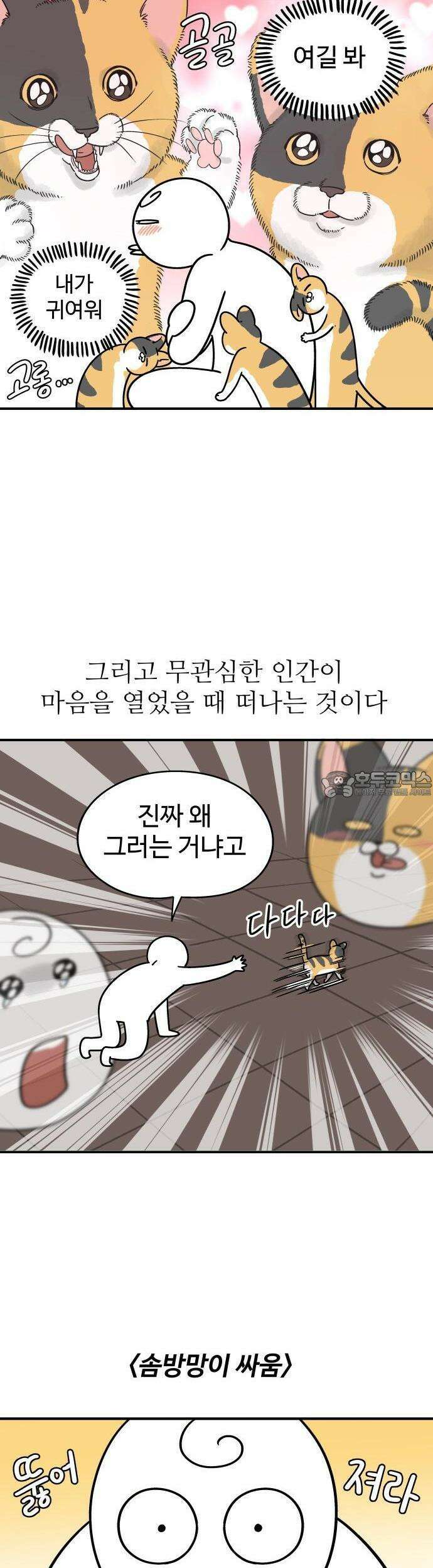 노곤하개 쇼츠 이상해 고양이 5