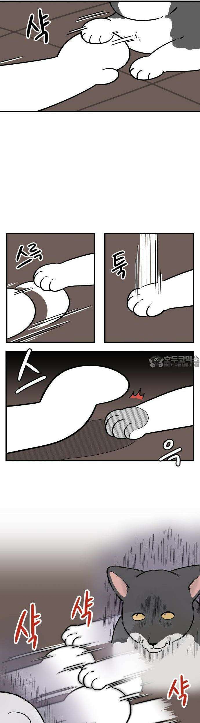 노곤하개 쇼츠 이상해 고양이 7