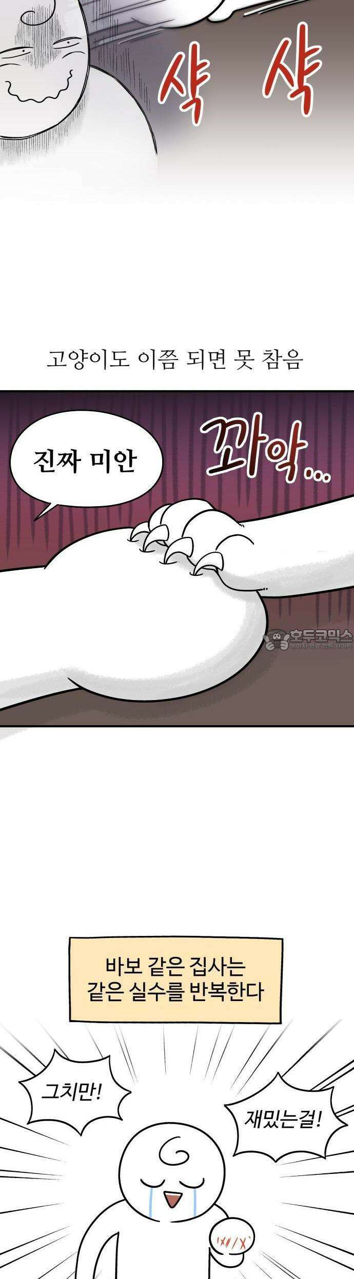 노곤하개 쇼츠 이상해 고양이 8