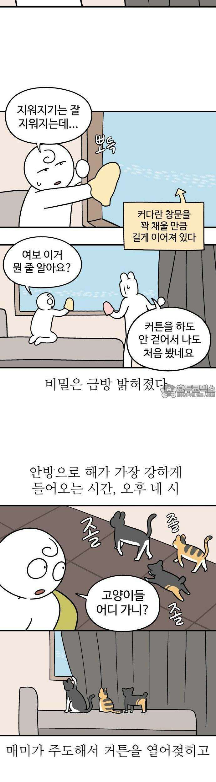 노곤하개 쇼츠 이상해 고양이 10