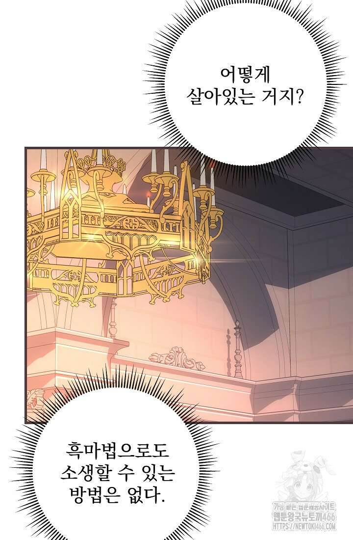 강철대제 2화 167