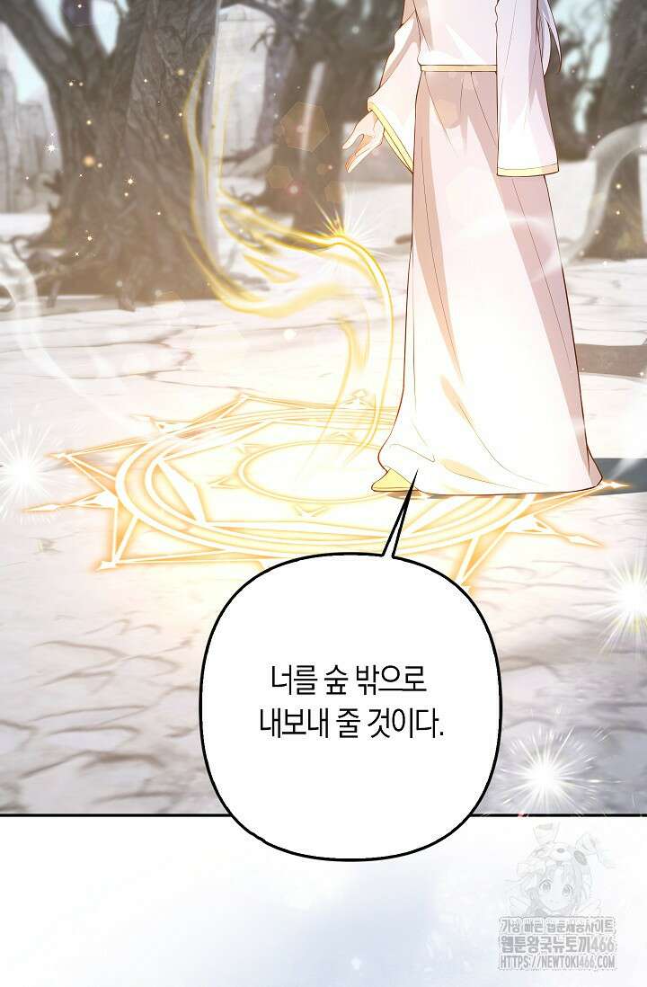 여주와 남주의 아이들을 키우게 되었습니다 66화 (외전 6화) 17