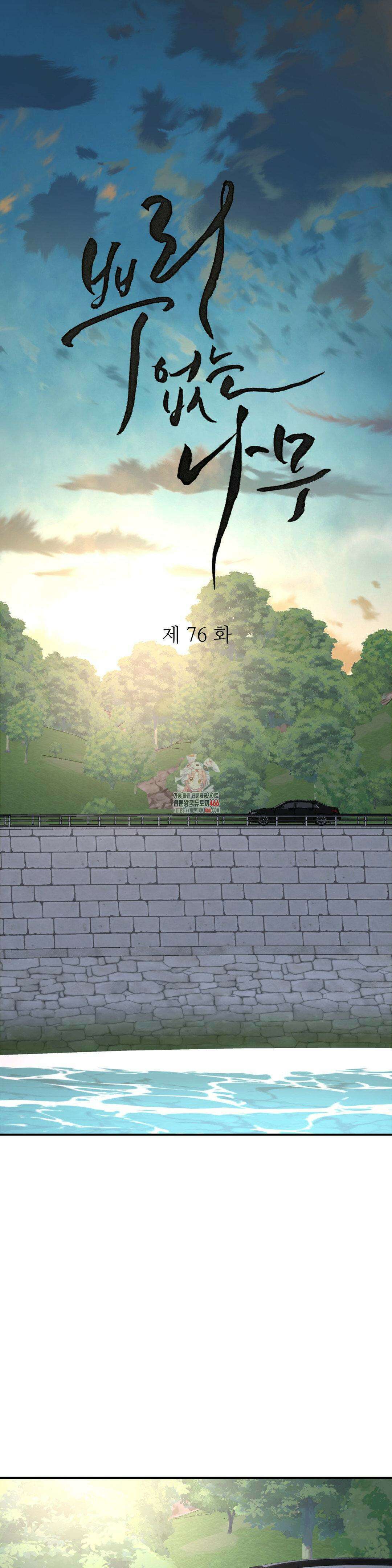뿌리 없는 나무 76화 1