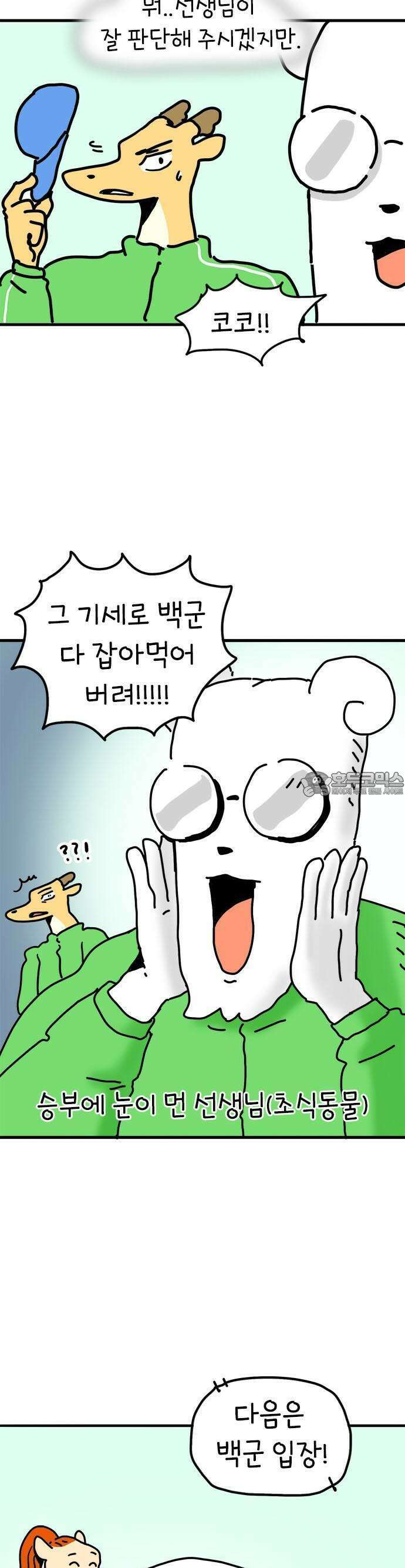 소심한 호랭이 코코 29화 달리기 좋아한다 말해! (4) 완 4