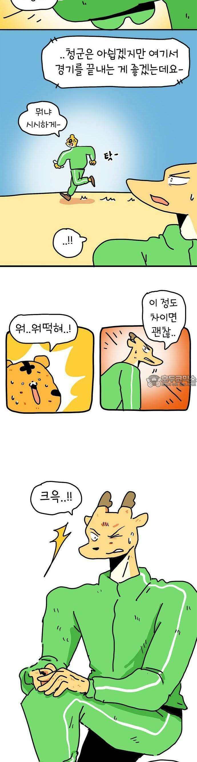 소심한 호랭이 코코 29화 달리기 좋아한다 말해! (4) 완 24