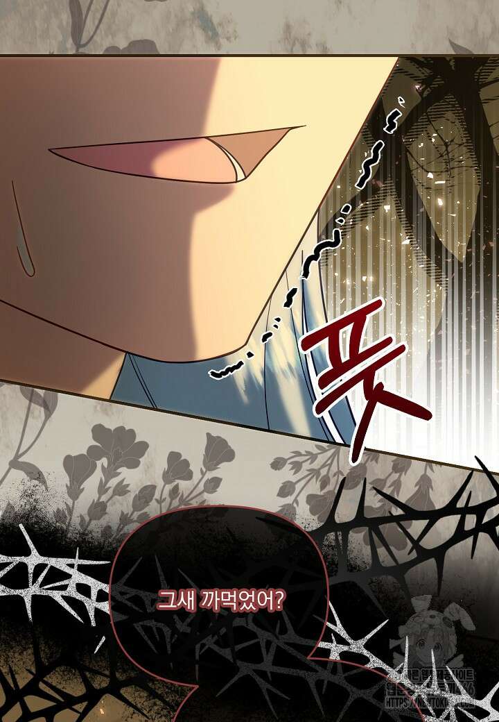 전쟁광 남편의 아이를 빼돌렸다 109화 4