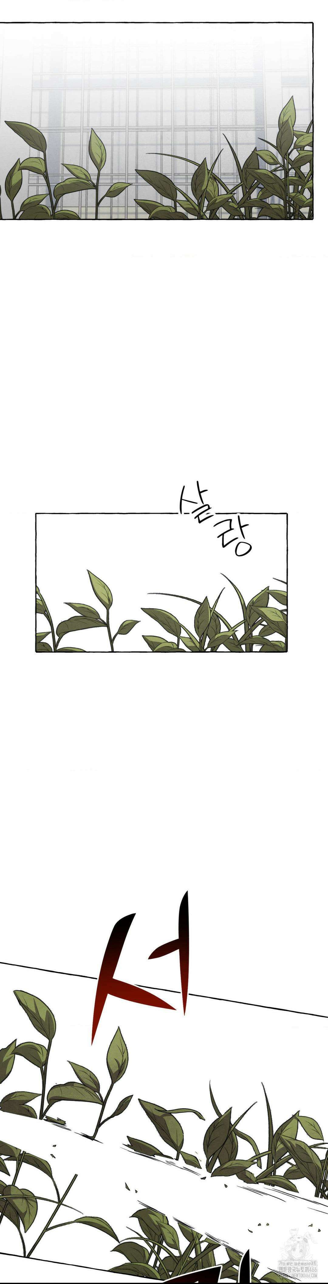 교도소의 개들 51화 24