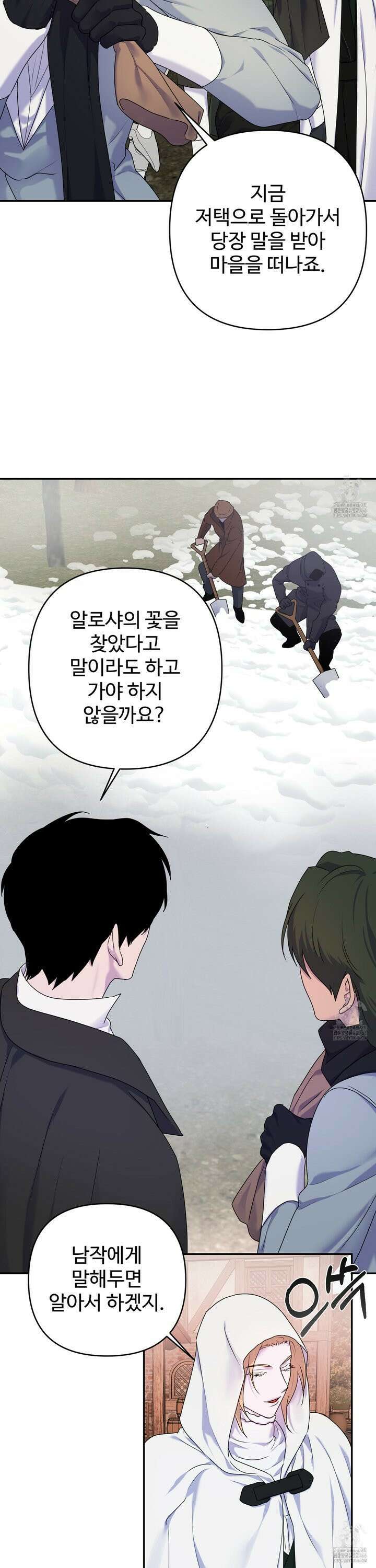 알로샤의 꽃 25화 10