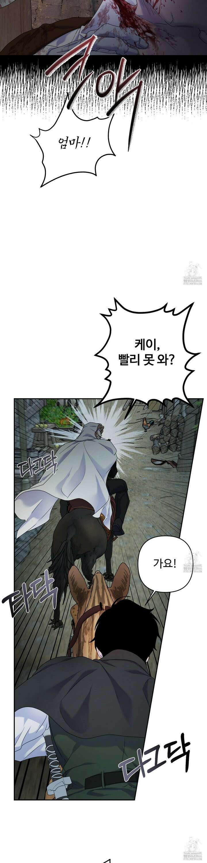 알로샤의 꽃 25화 26