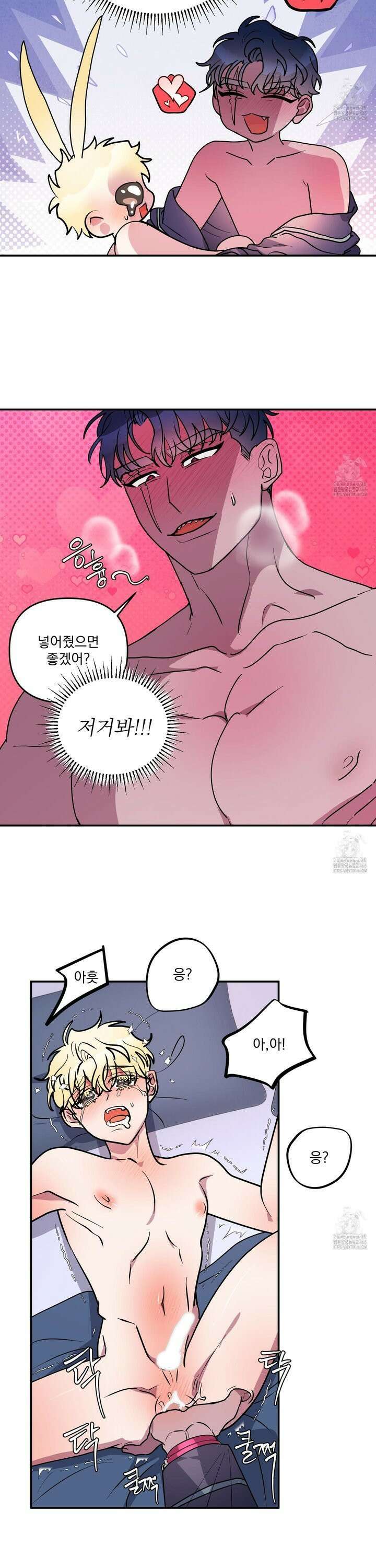 상어에게서 토끼는 방법 50화 5