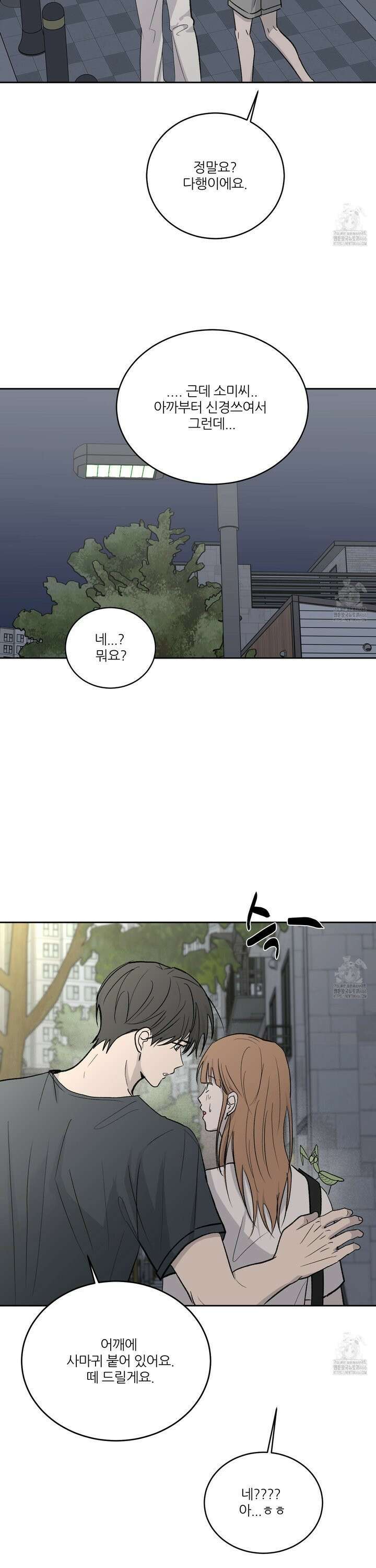 행방불명 로맨스 46화 21