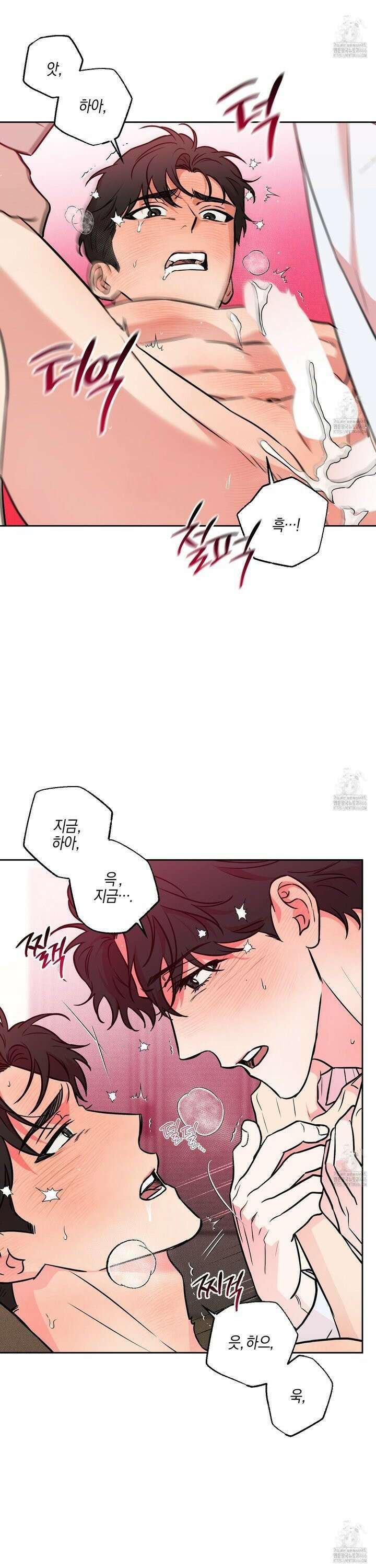 슈가트랩 26화 6